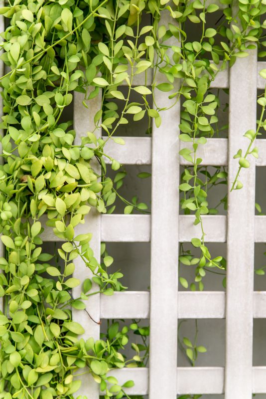 Fence Trellis Installation in Wilmington, NC