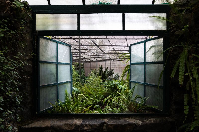 Greenhouse Repair Consultation