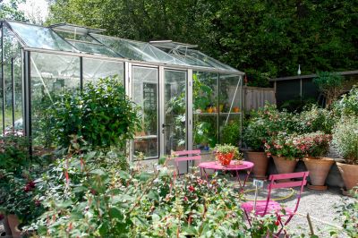 Greenhouse Repair