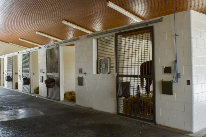 Horse Shelter Construction in Conroe, TX