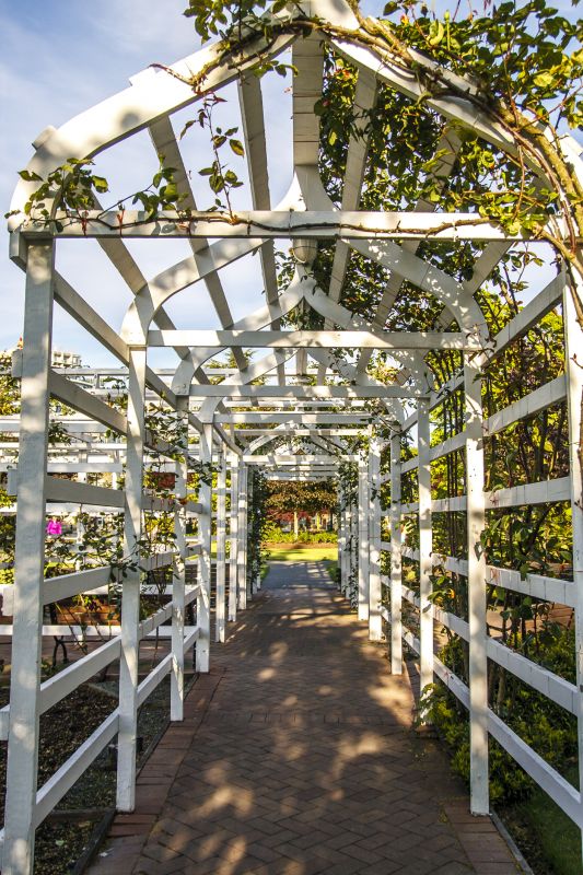 Trellis Construction in Conroe, TX