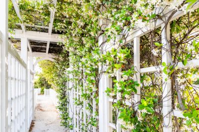 Trellis Fence Construction in Kansas City, KS