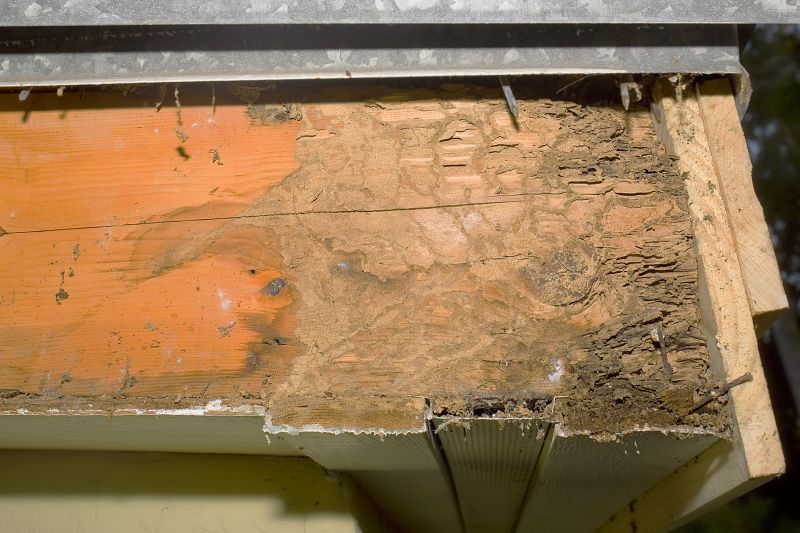 Wood Rot And Moisture Damage In Outdoor Structures